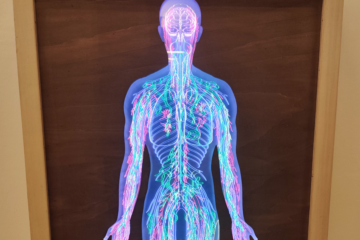 Interface Holographique du corps humain